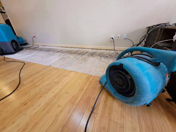 Professional Sewage Cleanup technician working in Dunbar, WI